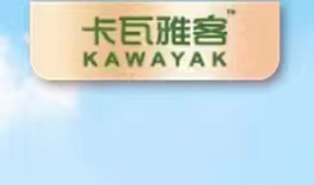 ϲԭSB(ti)aI(y)޹˾