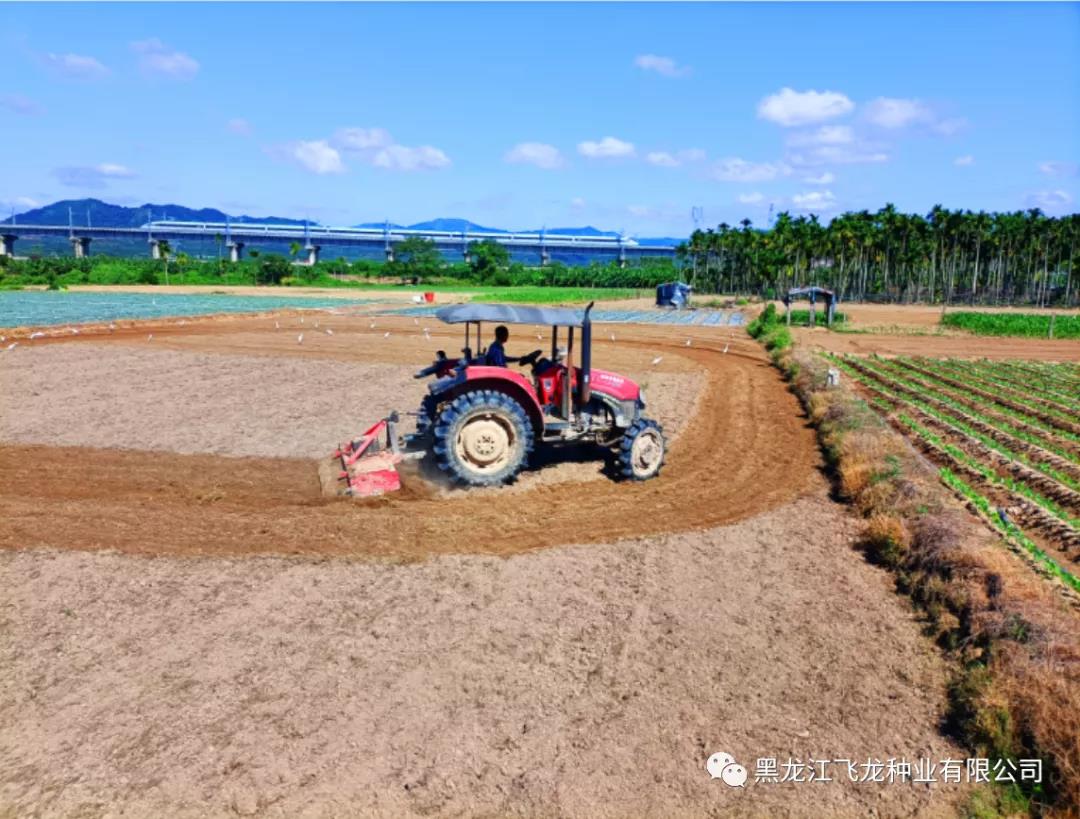 1640653641751162.jpg 2.jpg