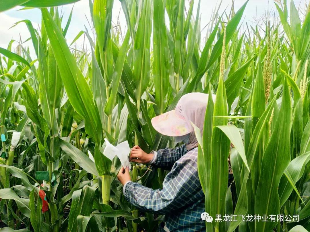 1640659455103659.jpg 6.jpg