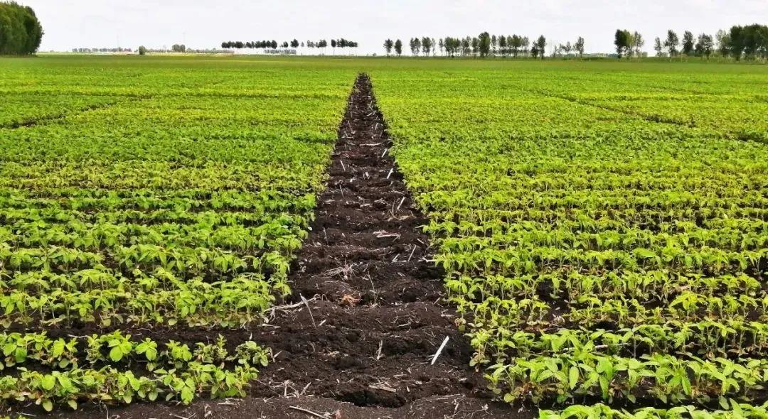 1640668654511217.jpg 2.jpg