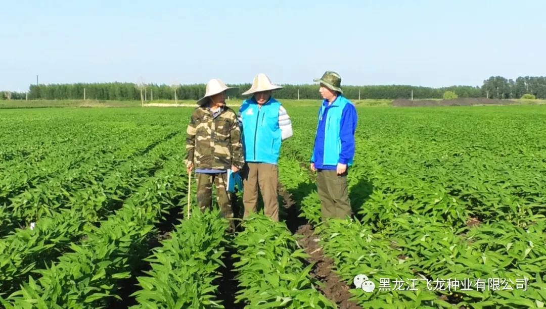 1640669546131694.jpg 7.jpg