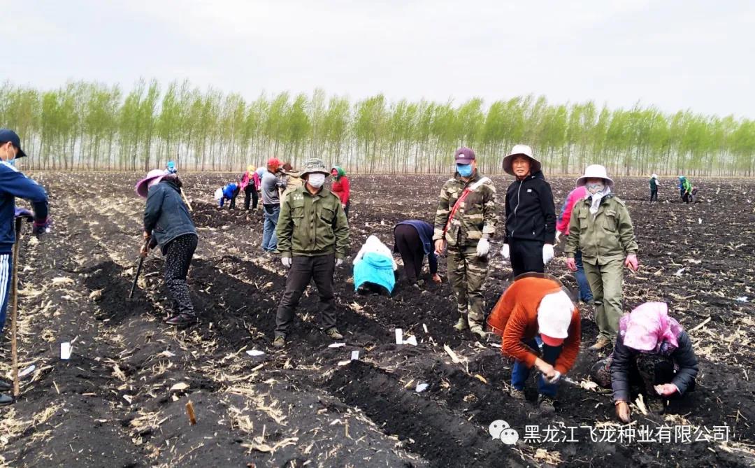 1640671487323771.jpg 6.jpg