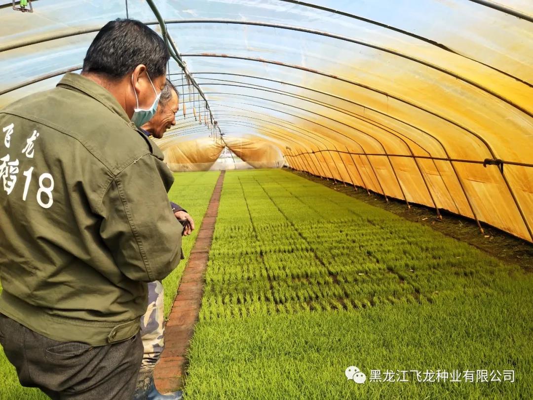 1640671752367921.jpg 2.jpg