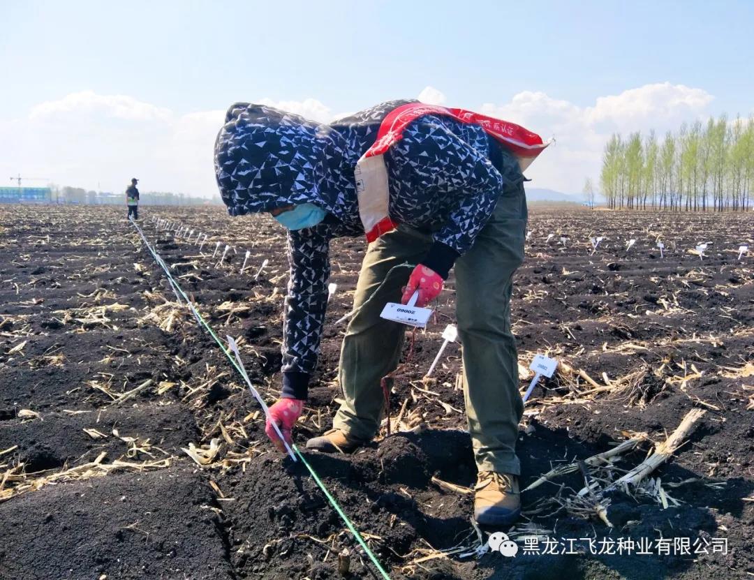 1640673419133273.jpg 3.jpg