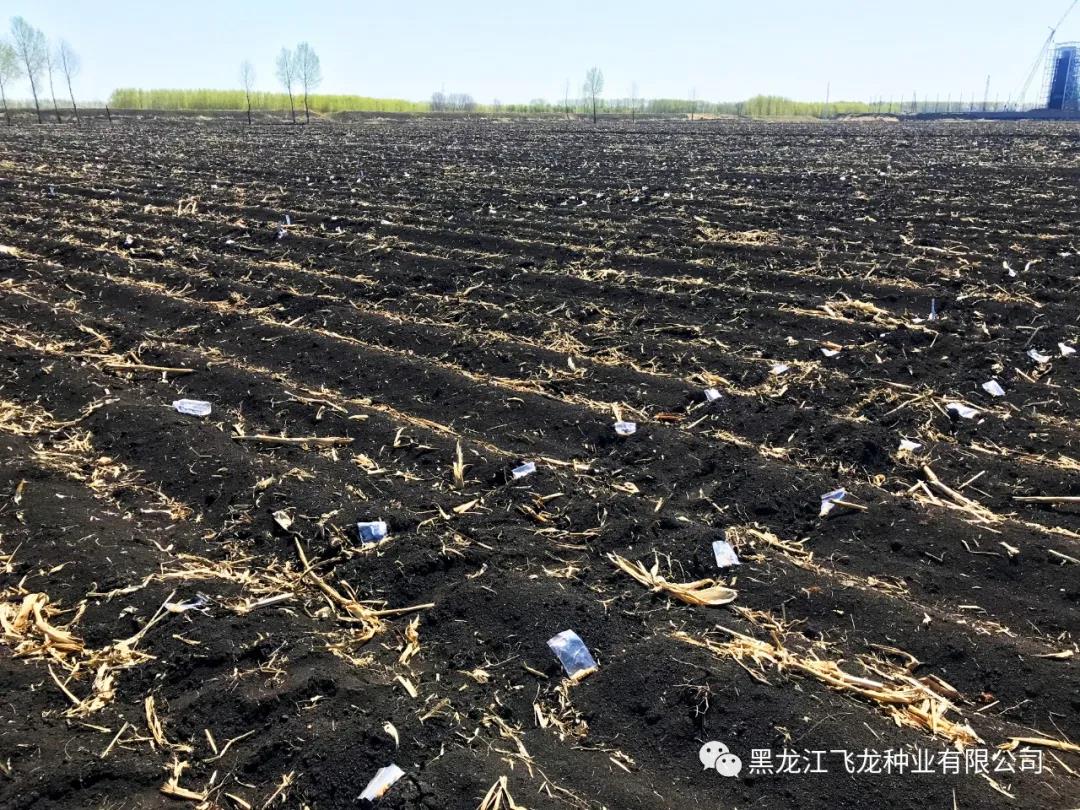 1640673443125549.jpg 4.jpg