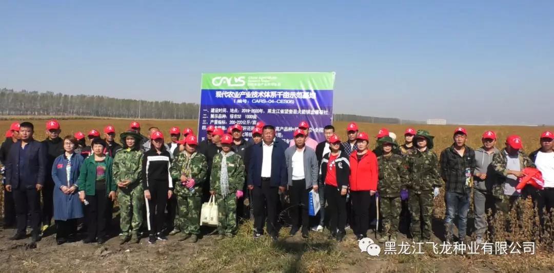 1640676684684076.jpg 3.jpg