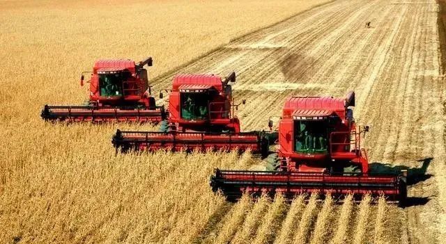 1646893234503256.jpg 1.jpg