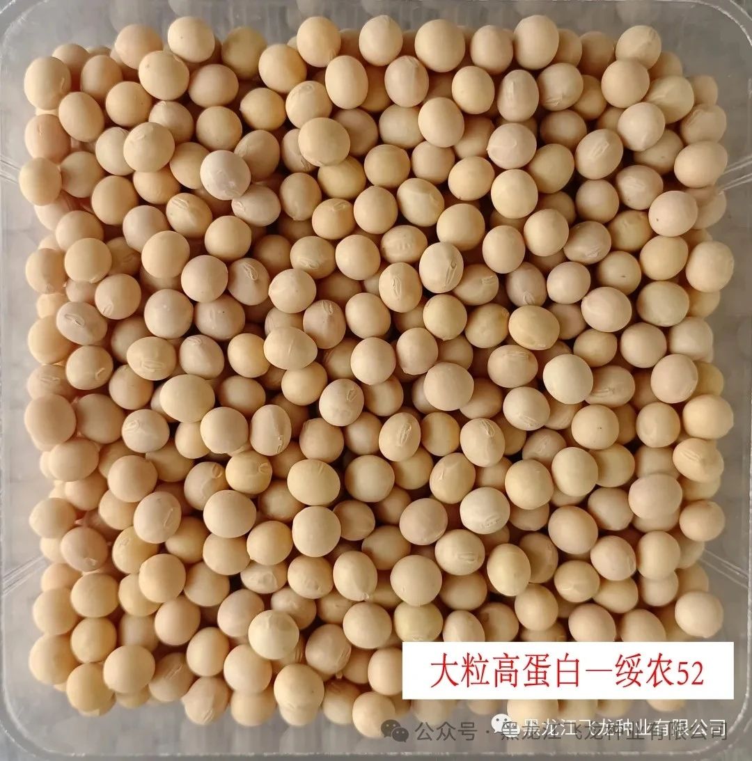 1714372654420291.jpg 1714372654420291.jpg